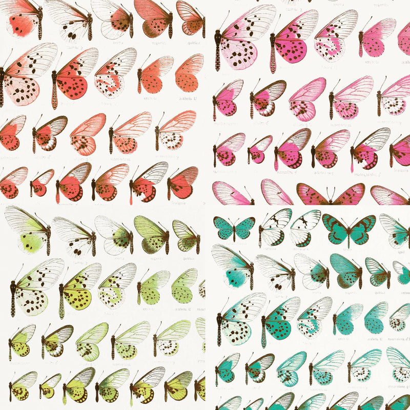 49 and Market Kaleidoscope 12×12 Paper Collection Pack - Craftywaftyshop