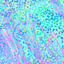 Crafters Companion 12 x 12" Paper Pad Neon Dreams