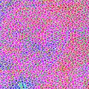 Crafters Companion 12 x 12" Paper Pad Neon Dreams - Craftywaftyshop