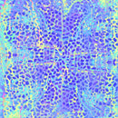 Crafters Companion 12 x 12" Paper Pad Neon Dreams - Craftywaftyshop