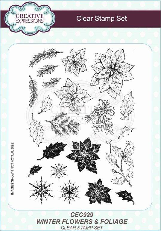 Wintery Flowers and Foliage A5 Clear Stamp Set by Creative Expressions - Craftywaftyshop