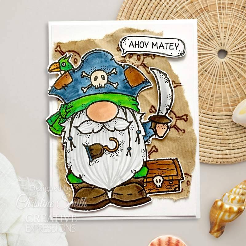 Woodware Clear Singles Pirate Gnome 4 in x 6 in Stamp - Craftywaftyshop