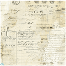 49 and Market Solids Pack – 12x12 | Faded Memory Lane | FML - 35513 - Craftywaftyshop