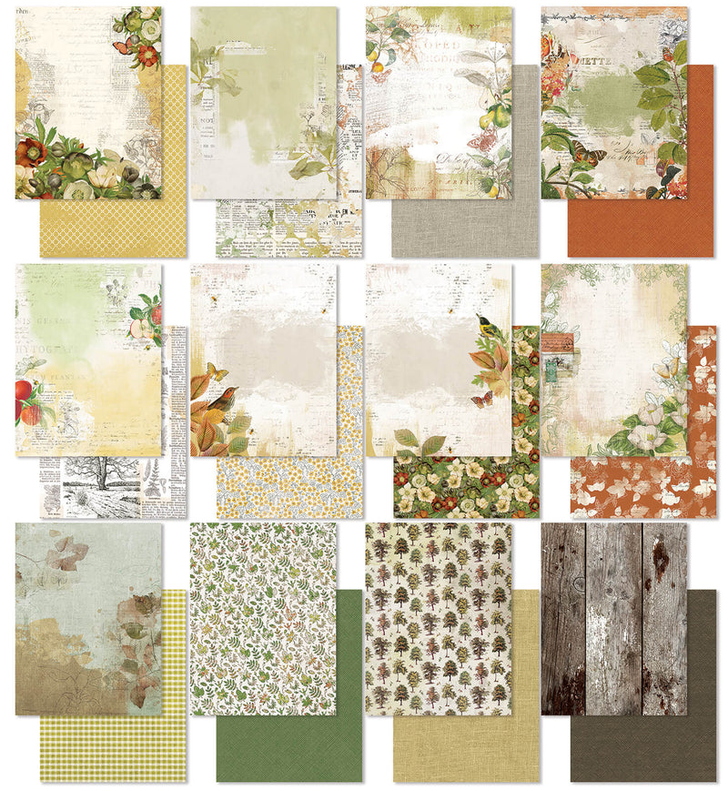 49 and Market Vintage Orchard 6×8 Paper Collection Pack - Craftywaftyshop