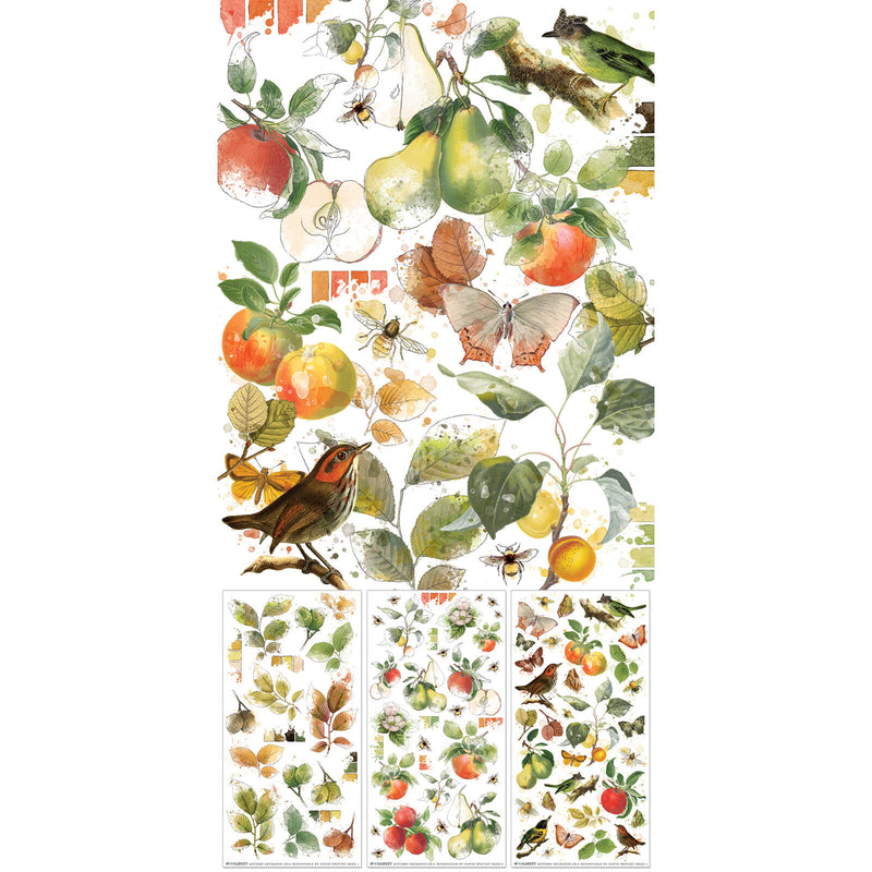 49 and Market Vintage Orchard Botanical Rub - on Transfer Set - Craftywaftyshop