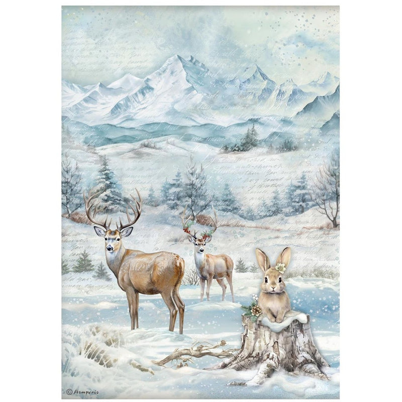 Stamperia - The Owl's House - A4 Rice Paper Selection