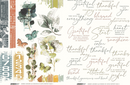 Arden Creative Studio Amber Ledgers 6x8 Rub-On Transfer Set | ACSRO0013
