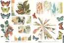 Arden Creative Studio Amber Ledgers 6x8 Rub-On Transfer Set | ACSRO0013