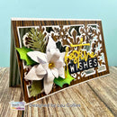 Arden Creative Studio Layered Poinsettias Craft Die Set | TEXCD0004