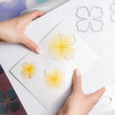 Chloe's Creative Cards Pearl Pad 5x7 Exquisite Majestic C-PPAD-5X7EMF