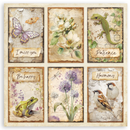 Stamperia 12x12 Scrapbooking Pad – All Around | SBBXLB37
