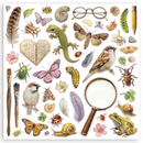 Stamperia 12x12 Scrapbooking Pad – All Around | SBBXLB37