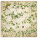 Stamperia 12x12 Scrapbooking Pad – All Around | SBBXLB37