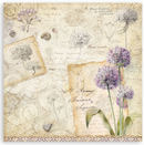Stamperia 12x12 Scrapbooking Pad – All Around | SBBXLB37