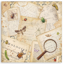 Stamperia 12x12 Scrapbooking Pad – All Around | SBBXLB37