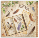 Stamperia 12x12 Scrapbooking Pad – All Around | SBBXLB37