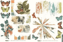Arden Creative Studio Amber Ledgers 6x8 Rub-On Transfer Set | ACSRO0013 - Craftywaftyshop
