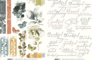 Arden Creative Studio Amber Ledgers 6x8 Rub-On Transfer Set | ACSRO0013 - Craftywaftyshop