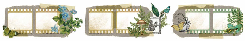 Arden Creative Studio Hidden Creek Filmstrip Kiss - Cut PET Tape - Craftywaftyshop