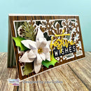 Arden Creative Studio Layered Poinsettias Craft Die Set | TEXCD0004 - Craftywaftyshop