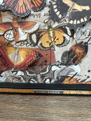 Autumnal/Halloween Shadow Boxes Instructions Download - Craftywaftyshop