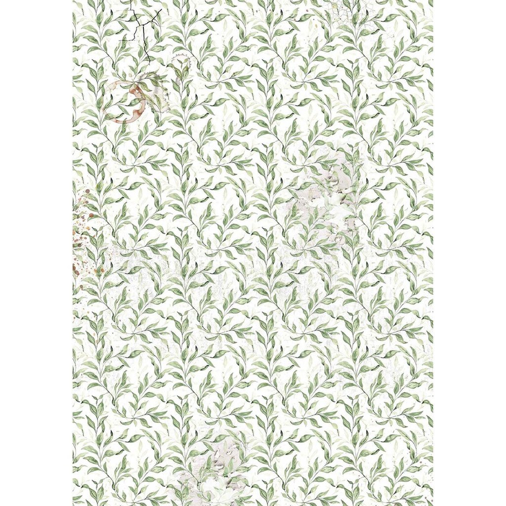Cabinet of Curiosities A4 Vellum Paper Patterns by Ciao Bella ...