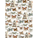 Cabinet of Curiosities A4 Vellum Paper Patterns by Ciao Bella - Craftywaftyshop