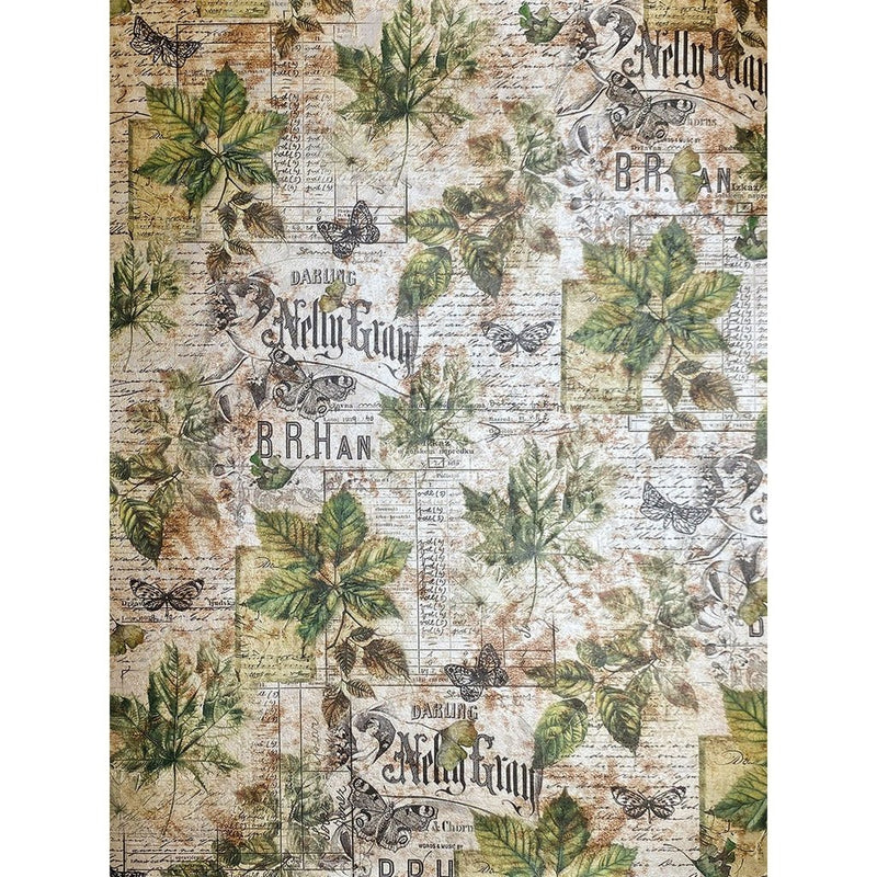 Cabinet of Curiosities Deluxe Pearl A4 Paper by Ciao Bella - Craftywaftyshop