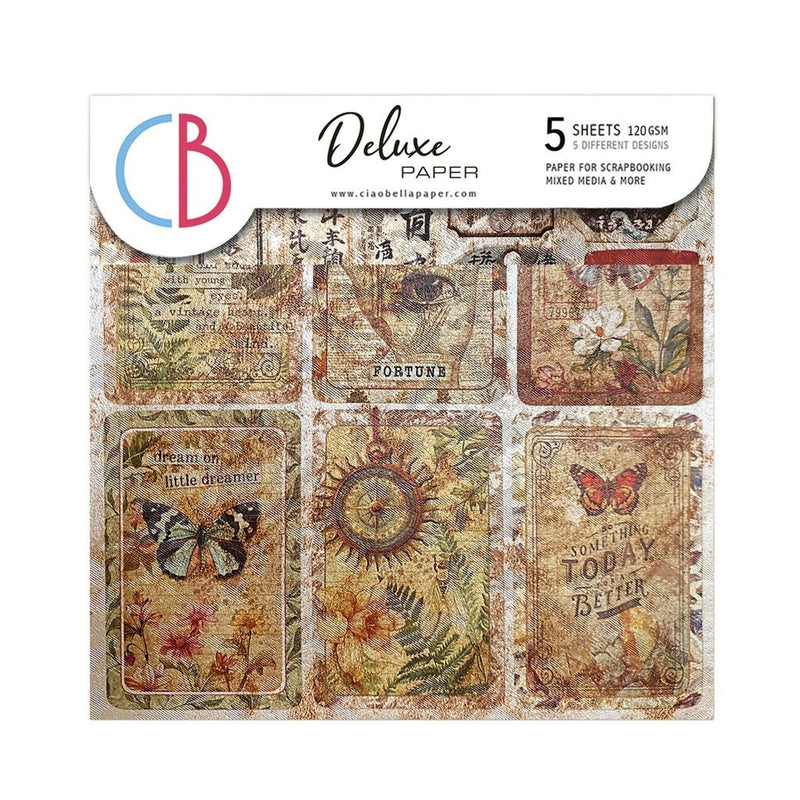 Cabinet of Curiosities Deluxe Pearl Paper 6"x6" by Ciao Bella - Craftywaftyshop