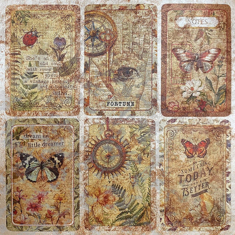 Cabinet of Curiosities Deluxe Pearl Paper 6"x6" by Ciao Bella - Craftywaftyshop