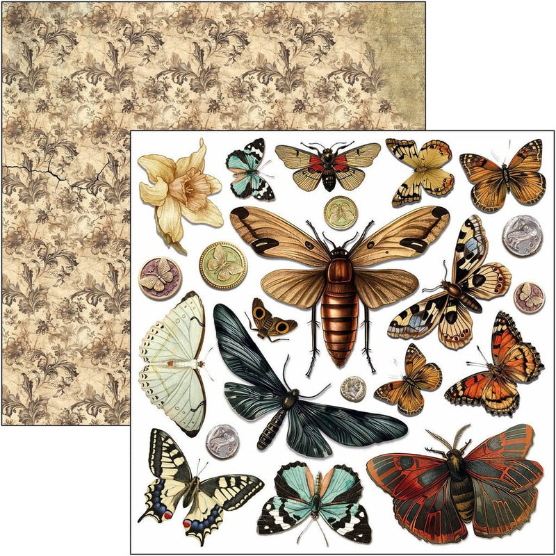 Cabinet of Curiosities Fussy Cut Pad 6"x6" by Ciao Bella - Craftywaftyshop