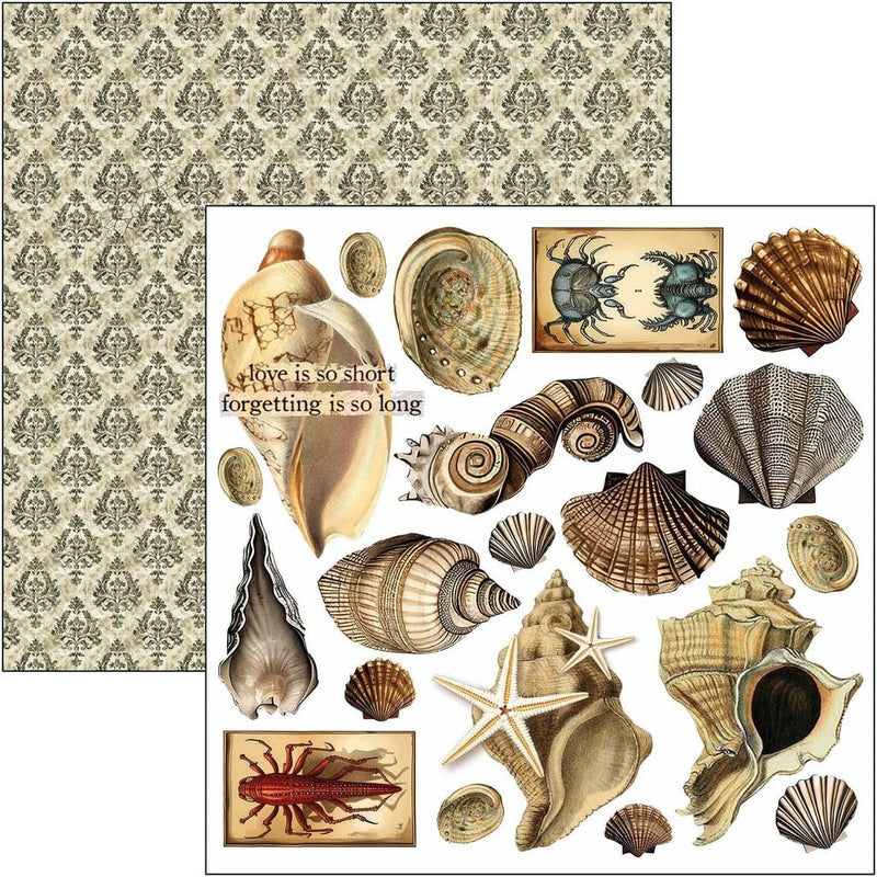 Cabinet of Curiosities Fussy Cut Pad 6"x6" by Ciao Bella - Craftywaftyshop