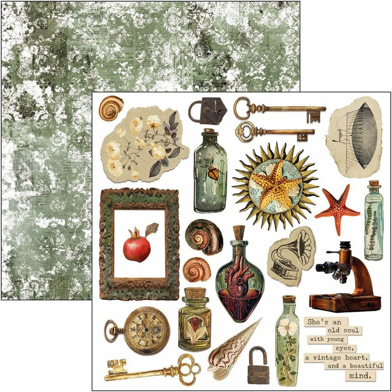 Cabinet of Curiosities Fussy Cut Pad 6"x6" by Ciao Bella - Craftywaftyshop