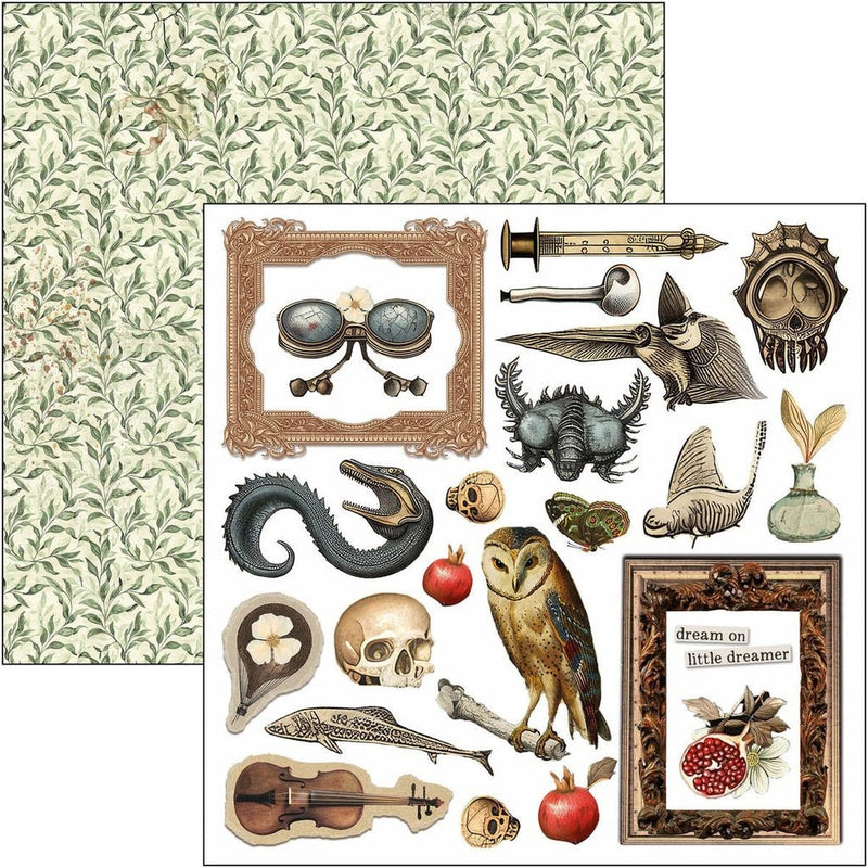 Cabinet of Curiosities Fussy Cut Pad 6"x6" by Ciao Bella - Craftywaftyshop