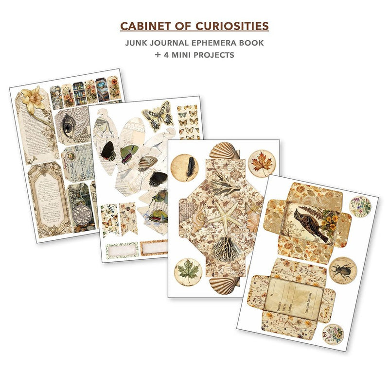 Cabinet of Curiosities Junk Journal Ephemera Book A4 32 Sheets by Ciao Bella - Craftywaftyshop