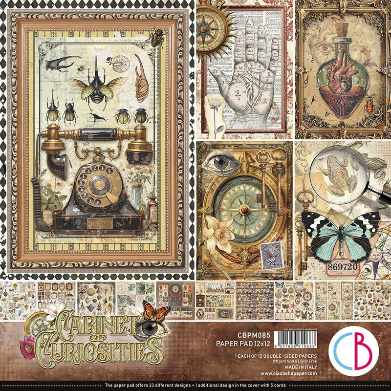 Cabinet of curiosities Paper Pad 12"x12" by Ciao Bella - Craftywaftyshop