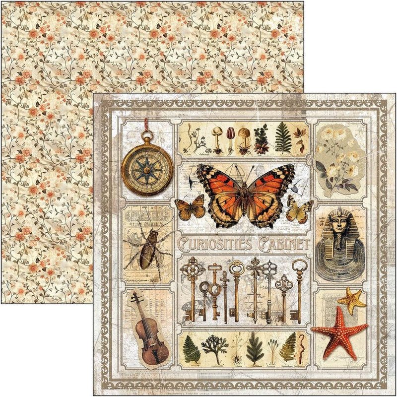 Cabinet of curiosities Paper Pad 12"x12" by Ciao Bella - Craftywaftyshop