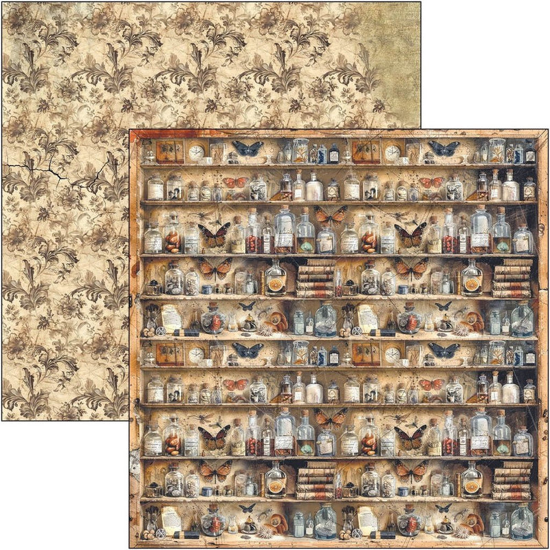 Cabinet of curiosities Paper Pad 12"x12" by Ciao Bella - Craftywaftyshop