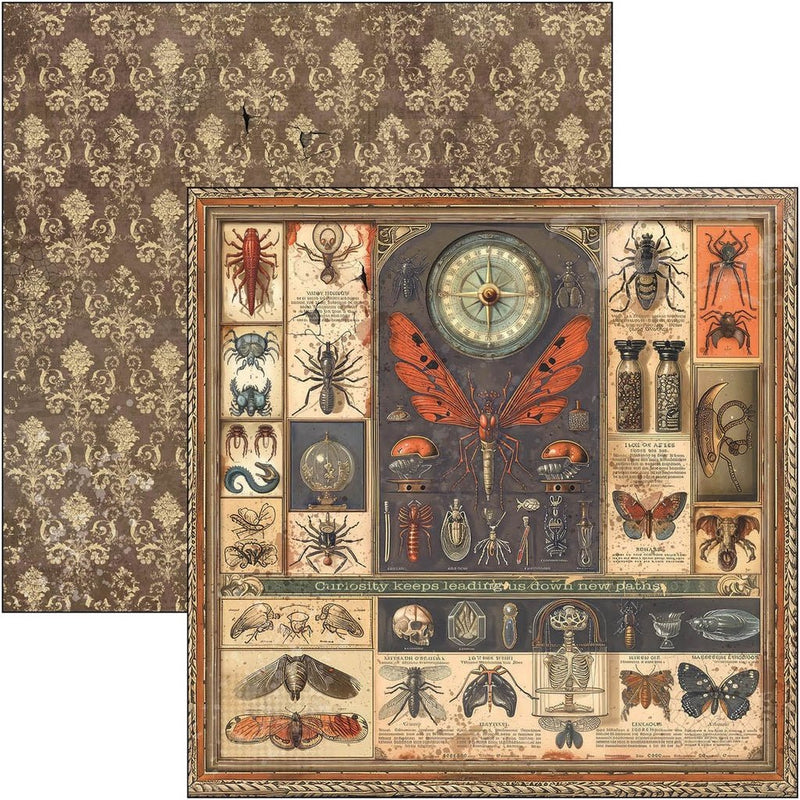 Cabinet of curiosities Paper Pad 12"x12" by Ciao Bella - Craftywaftyshop