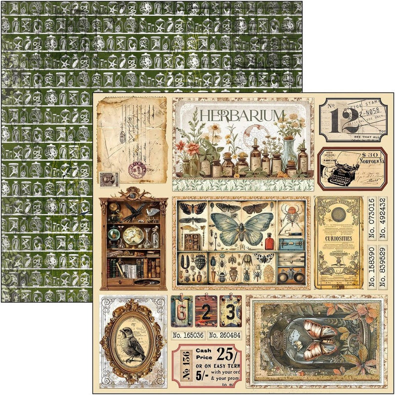 Cabinet of curiosities Paper Pad 12"x12" by Ciao Bella - Craftywaftyshop