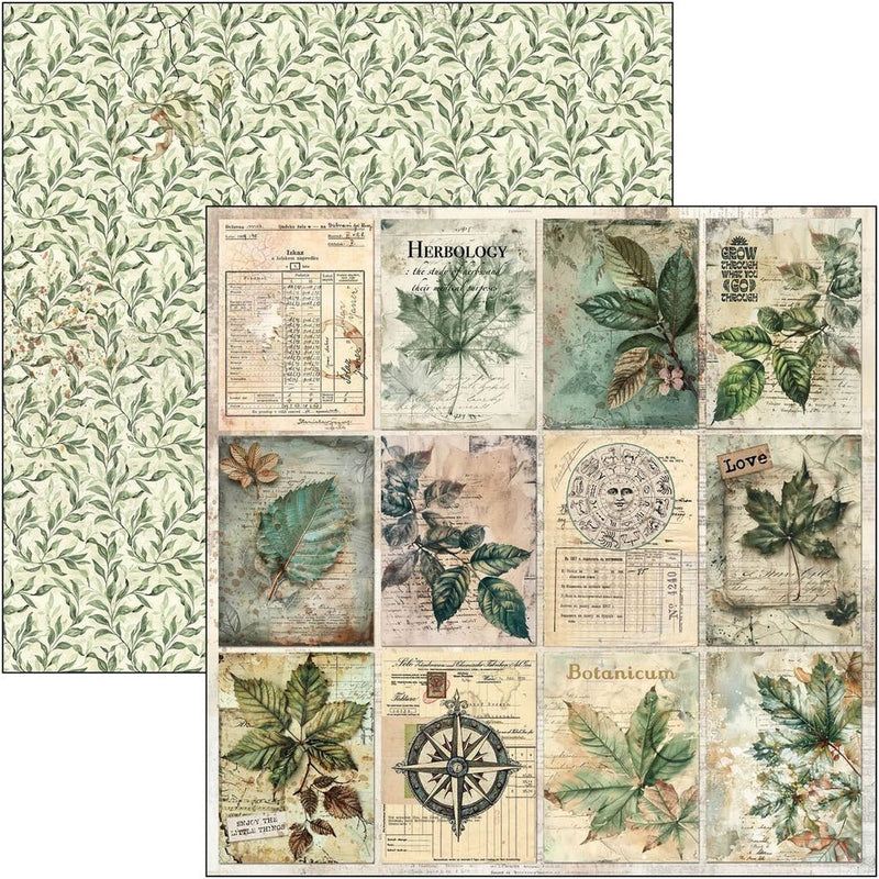 Cabinet of curiosities Paper Pad 12"x12" by Ciao Bella - Craftywaftyshop