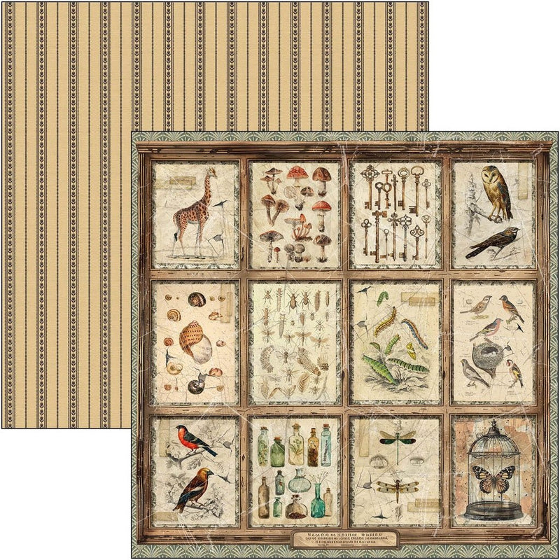 Cabinet of curiosities Patterns Pad 12"x12" by Ciao Bella - Craftywaftyshop