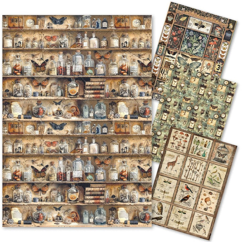 Cabinet of Curiosities Rice Paper A4 Mixed by Ciao Bella - Craftywaftyshop