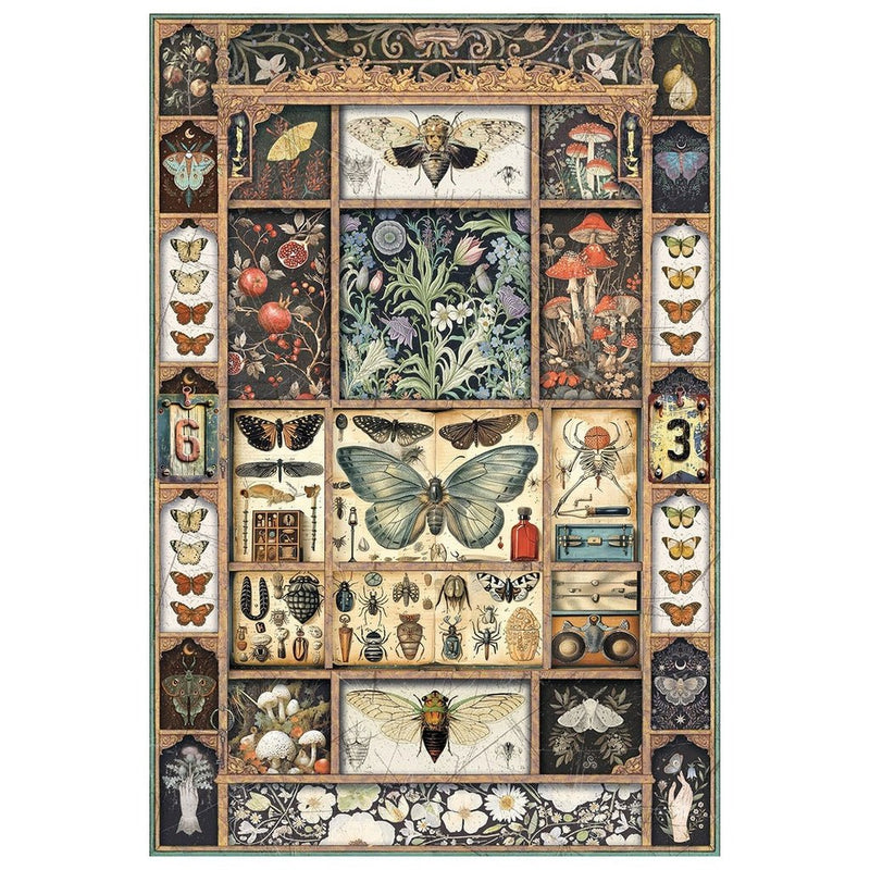 Cabinet of Curiosities Rice Paper A4 Mixed by Ciao Bella - Craftywaftyshop