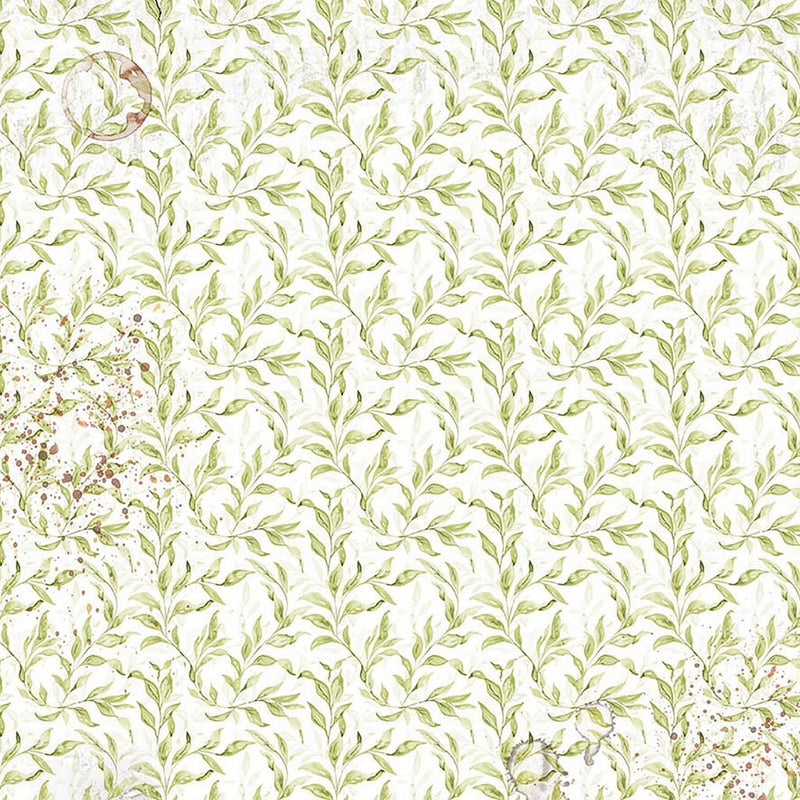 Cabinet of Curiosities Vellum Fussy Cut 6"x6" by Ciao Bella - Craftywaftyshop