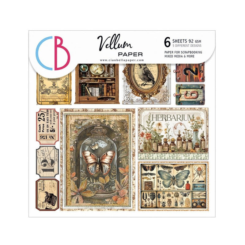 Cabinet of Curiosities Vellum Fussy Cut 6"x6" by Ciao Bella - Craftywaftyshop