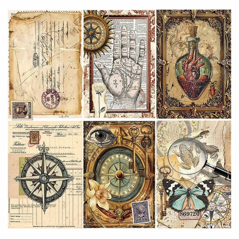 Cabinet of Curiosities Vellum Fussy Cut 6"x6" by Ciao Bella - Craftywaftyshop