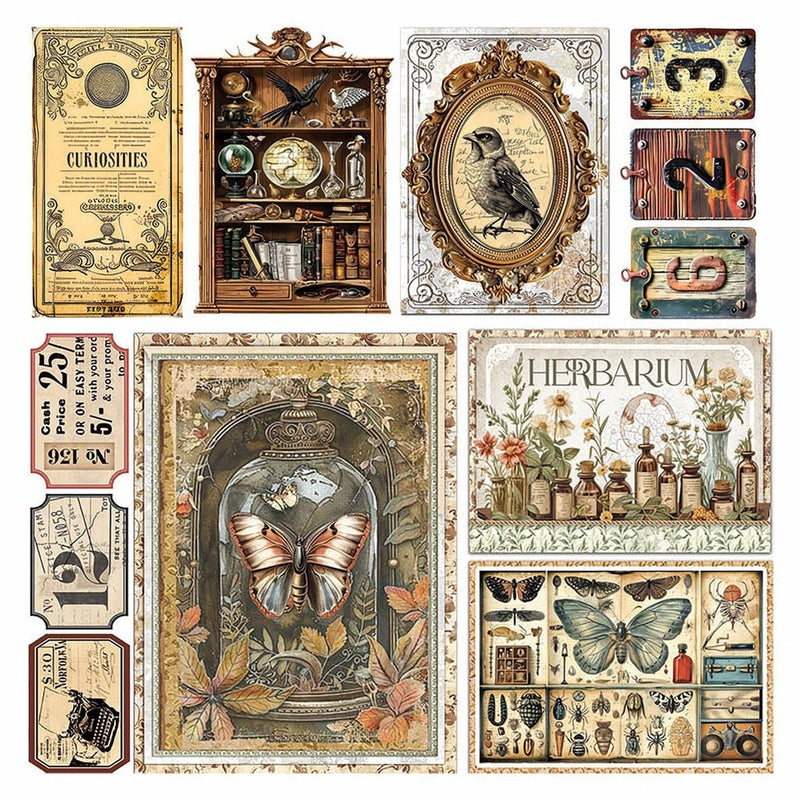 Cabinet of Curiosities Vellum Fussy Cut 6"x6" by Ciao Bella - Craftywaftyshop