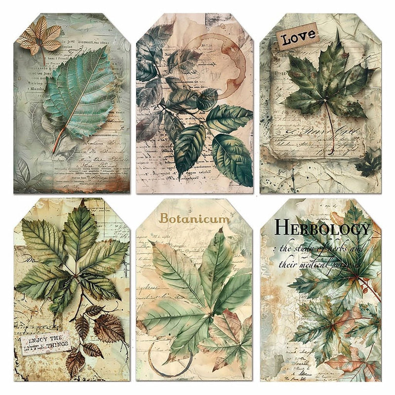 Cabinet of Curiosities Vellum Fussy Cut 6"x6" by Ciao Bella - Craftywaftyshop