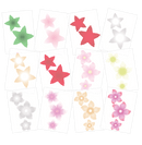 Chloes Creative Cards 5x7 Printed Christmas Flower Ombre Vellum - Craftywaftyshop